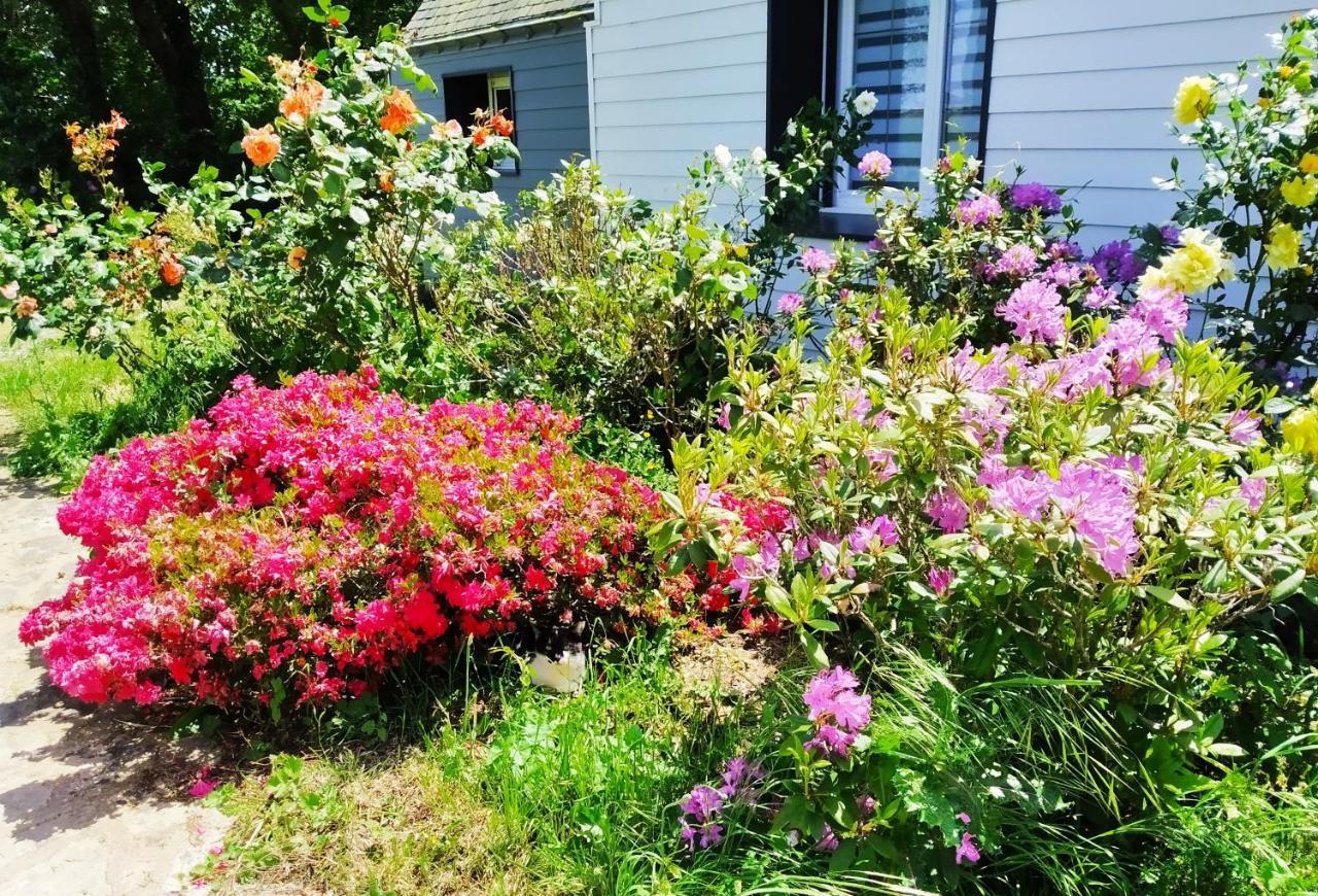 Missillac Le Sanctuaire Bed & Breakfast エクステリア 写真