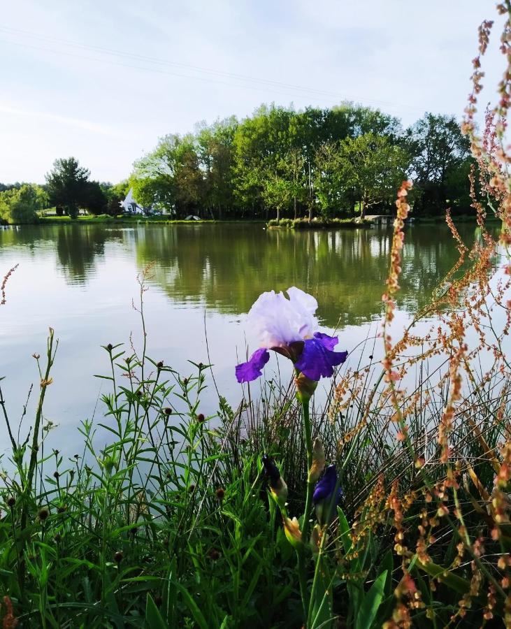 Missillac Le Sanctuaire Bed & Breakfast エクステリア 写真